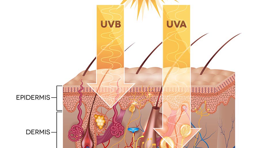 pasar por alto sinsonte Recitar La diferencia entre rayos UVA y rayos UVB | Fundación Piel Sana AEDV